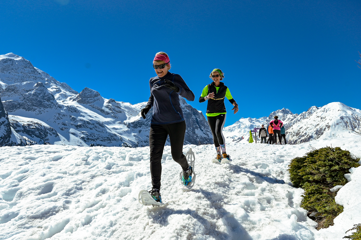 crédit photo : Jack Carrot